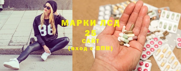 мяу мяу мука Аркадак