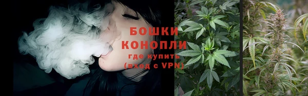 мяу мяу мука Аркадак