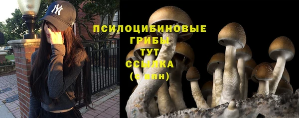 эйфоретик Балахна