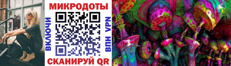 Псилоцибиновые грибы мицелий  Купить где  Инта 
